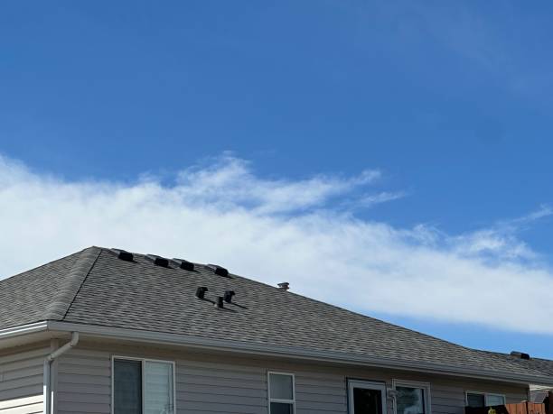 Best Roof Coating and Sealing  in Haddon Heights, NJ